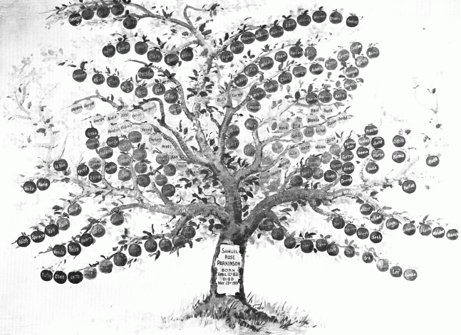 family tree